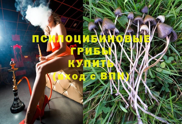 гашиш Богданович