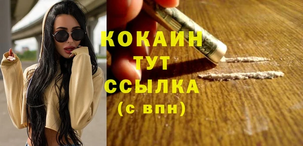 гашиш Богданович